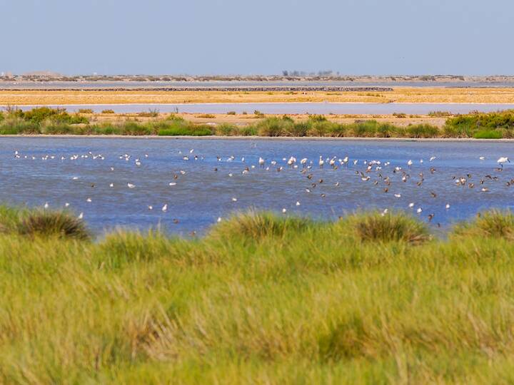 Nationalpark Doñana