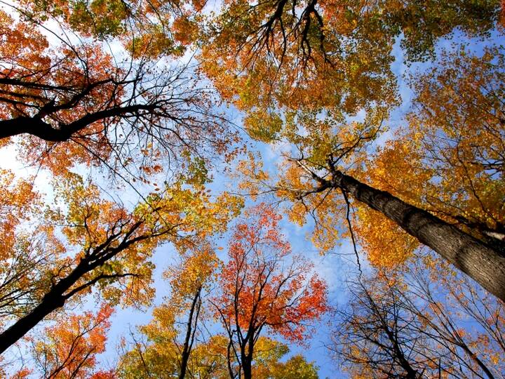 Andalusien Herbst