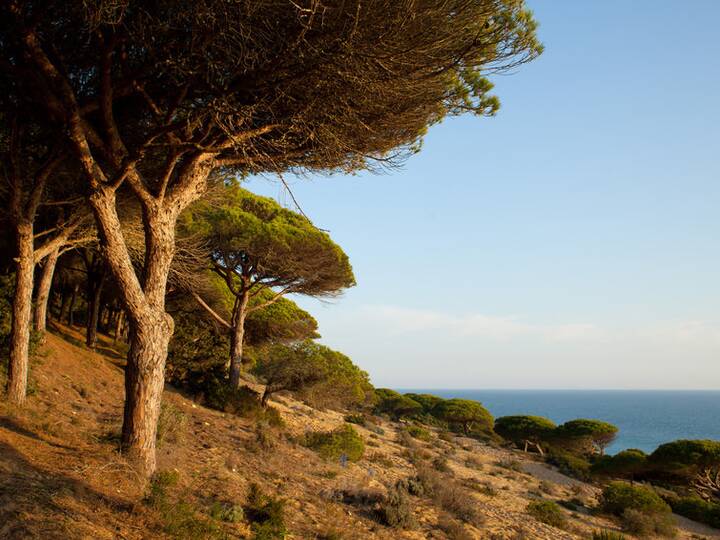 La Breña y Marismas del Barbate