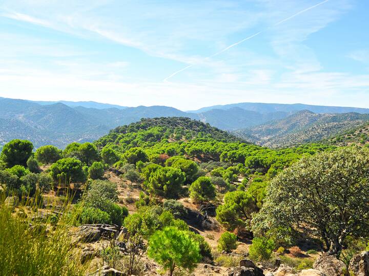 Sierra de Andújar