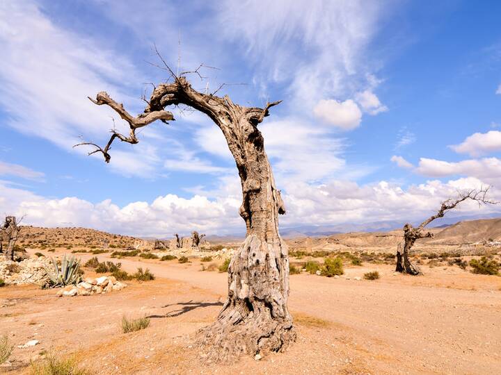 Die Wuste Von Tabernas Andalusien 360