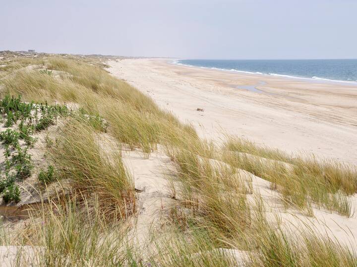 Playa Doñana Huelva