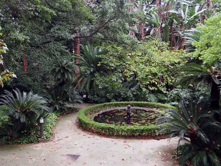 Botanischer Garten Málaga