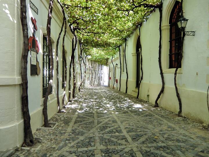 Sherry Bodega Jerez