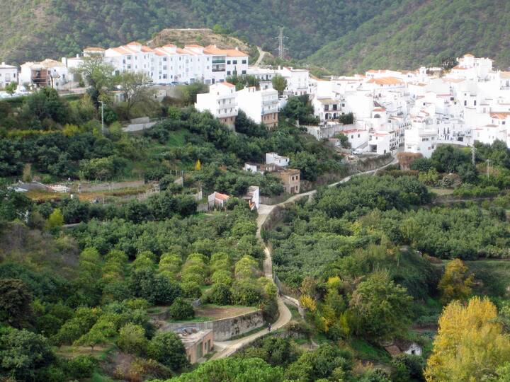 Rundwanderung Istán Río Molinos Río Verde